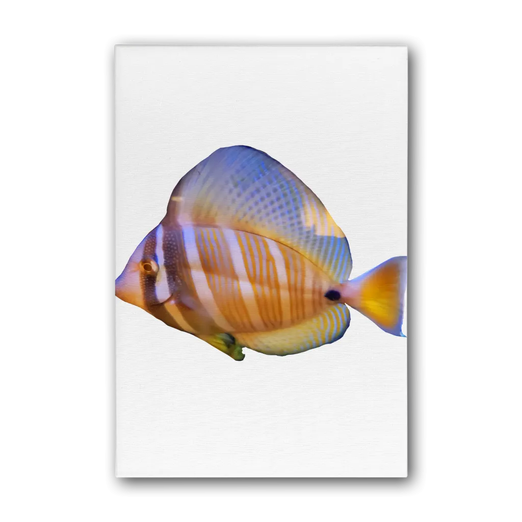 Beautiful Colored Fish Premium Stretched Canvas