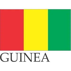 Guinea Embroidered Flag Badge