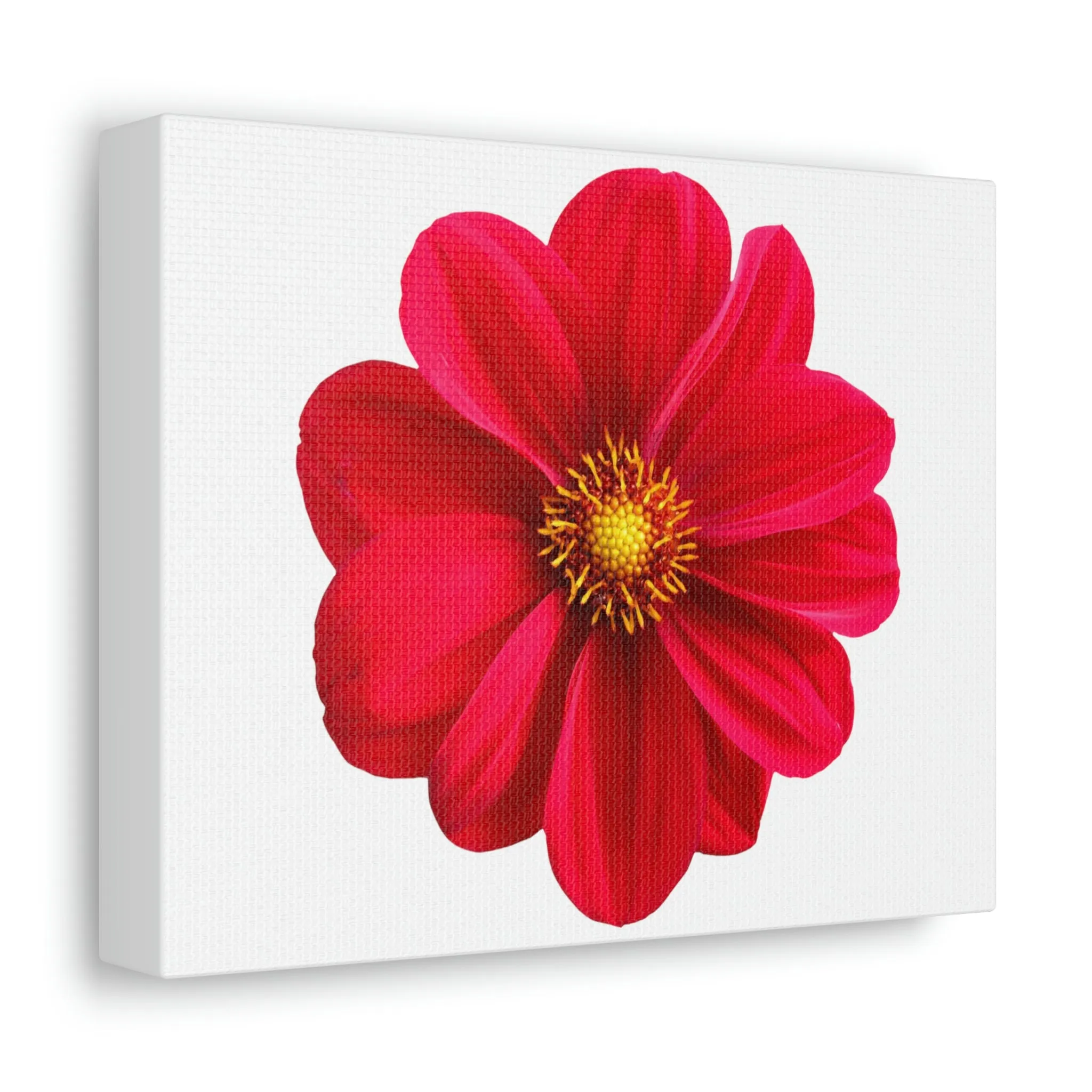 Red Flower Stretched Canvas