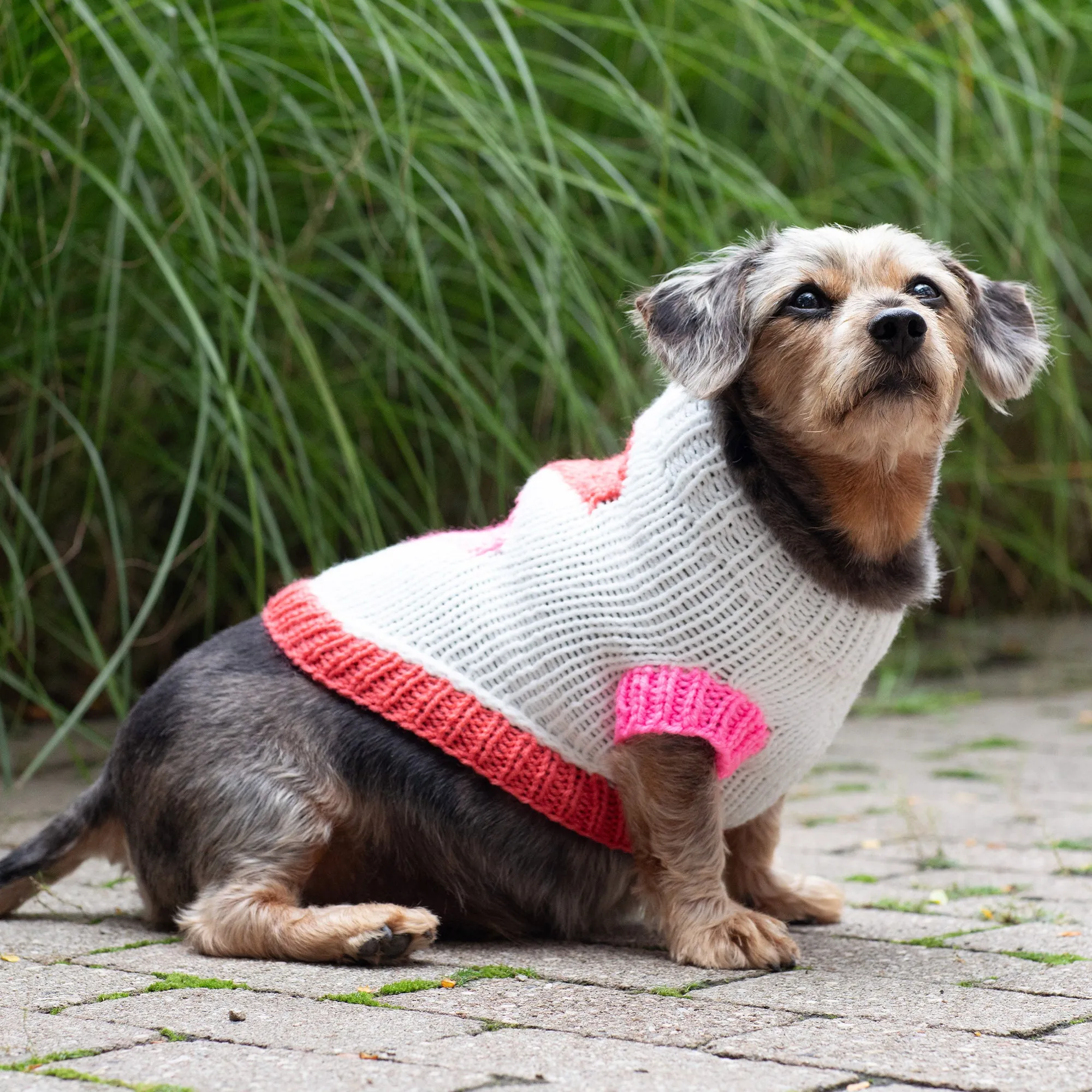 Red Heart Puppy Love Knit Sweater