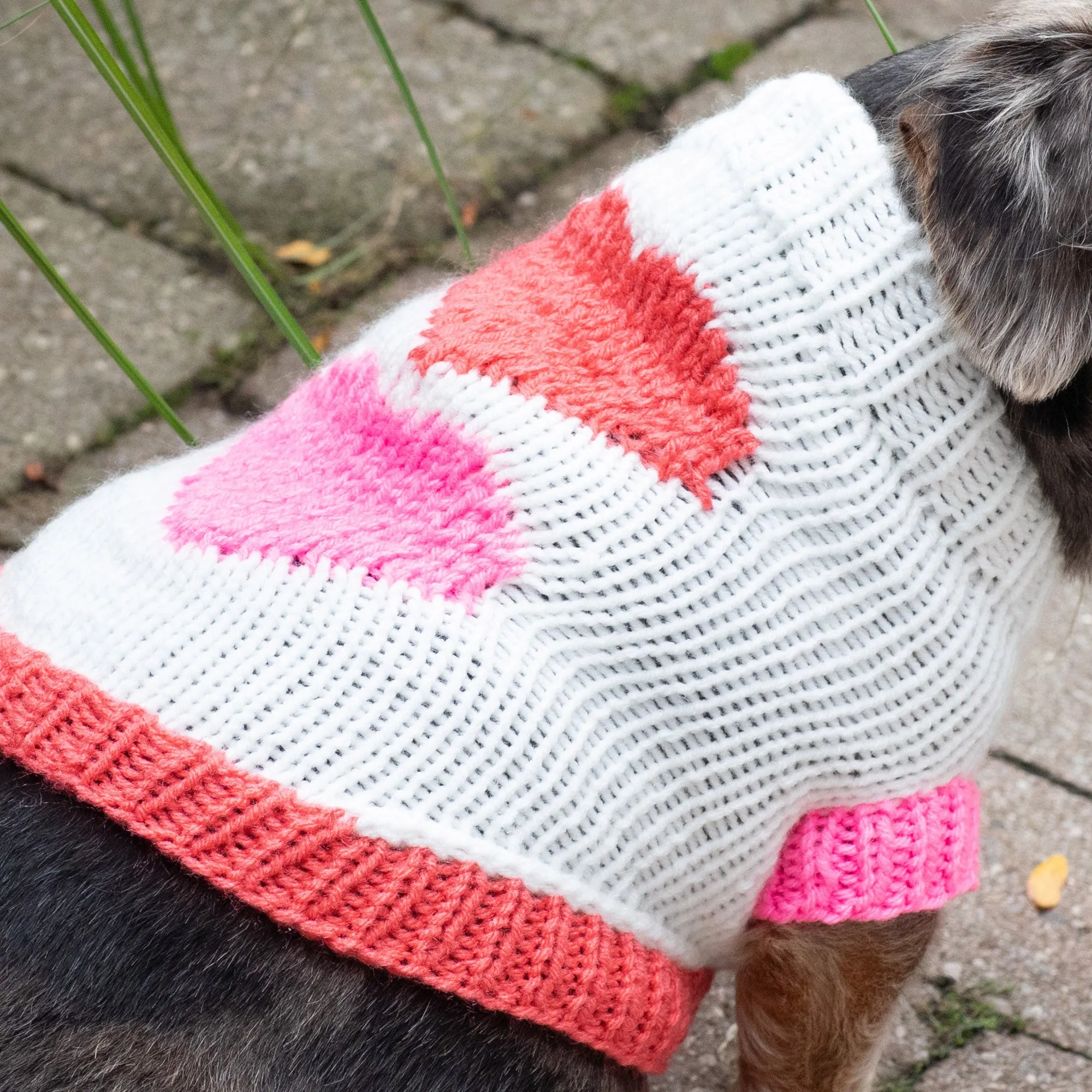 Red Heart Puppy Love Knit Sweater