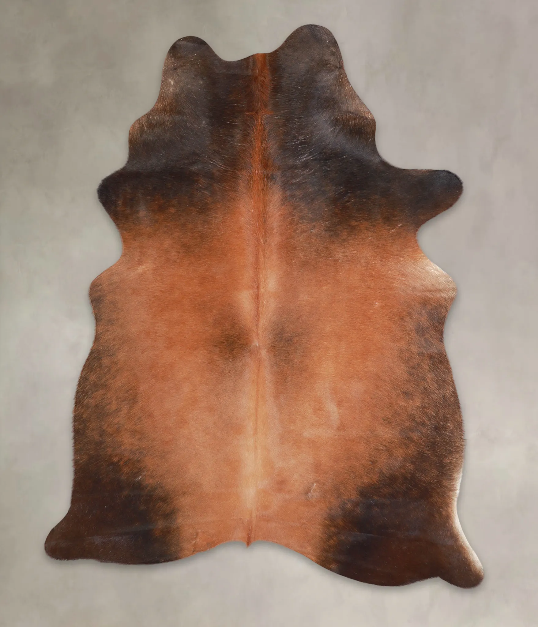 Warm Caramel Large Brazilian Cowhide Rug 6'6"H x 5'0"W #A25823 by Hudson Hides