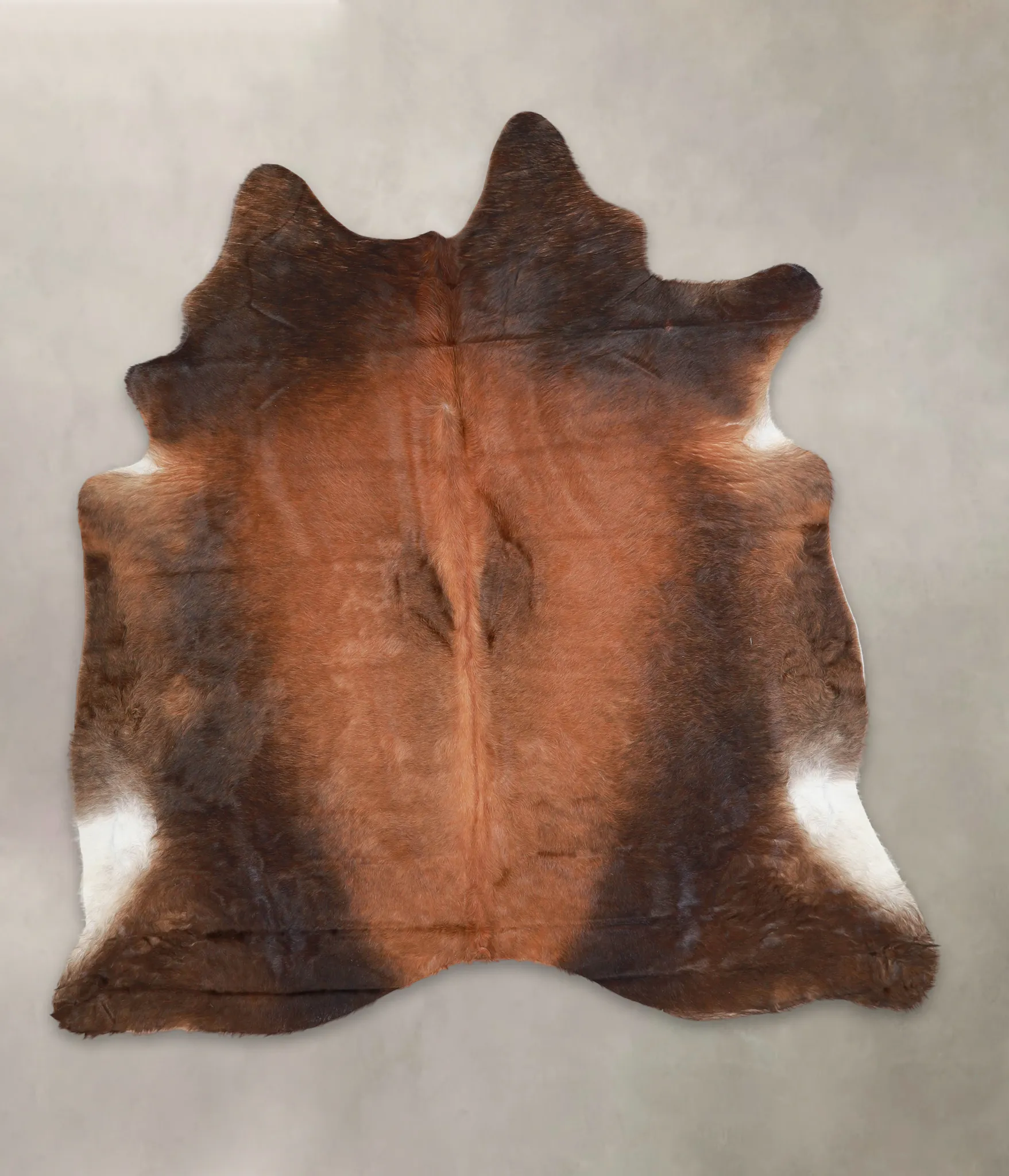 Warm Caramel X-Large Brazilian Cowhide Rug 6'8"H x 6'4"W #A23054 by Hudson Hides