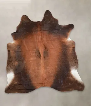 Warm Caramel X-Large Brazilian Cowhide Rug 6'8"H x 6'4"W #A23054 by Hudson Hides