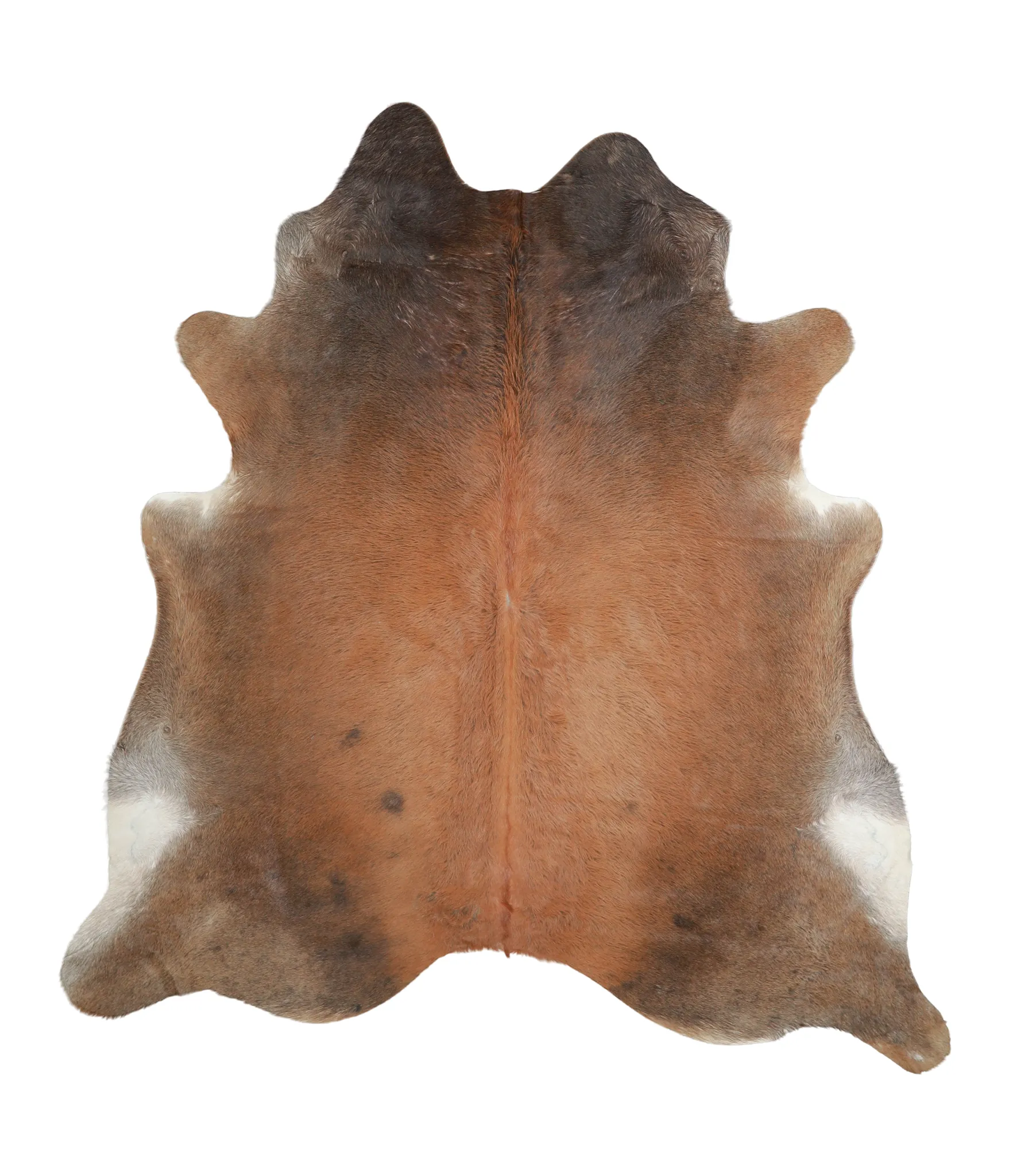 Warm Caramel X-Large Brazilian Cowhide Rug 7'0"H x 6'4"W #A21168 by Hudson Hides