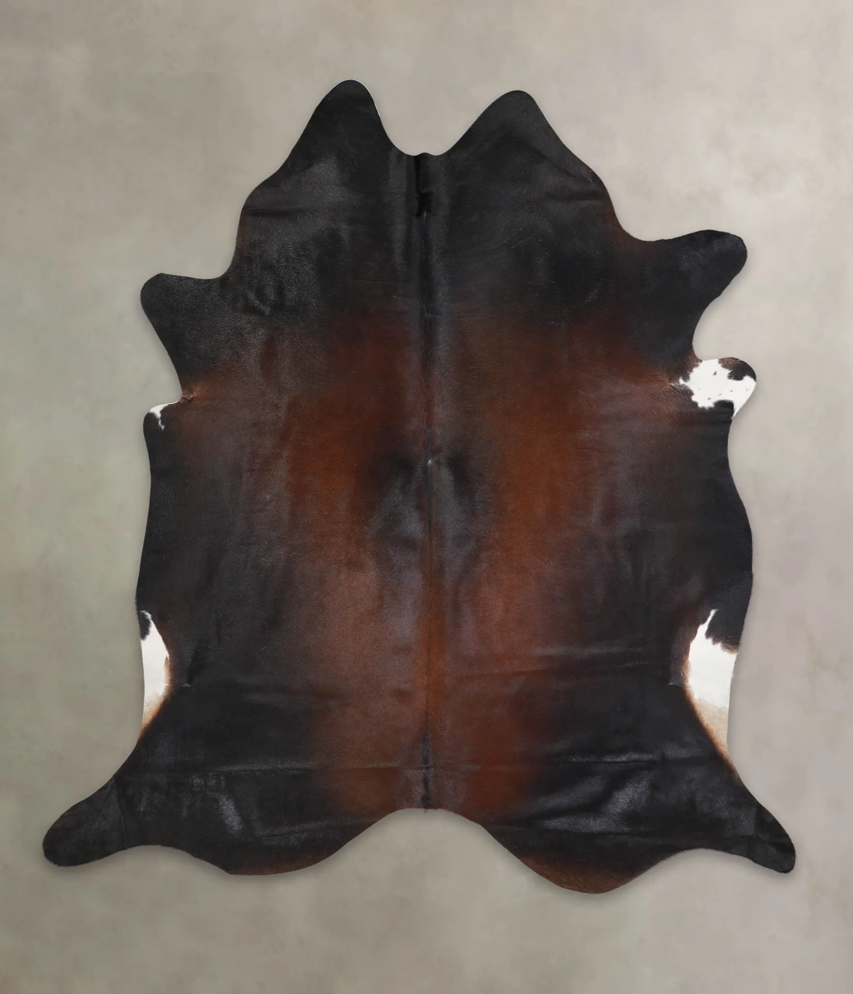 Warm Caramel XX-Large Brazilian Cowhide Rug 7'6"H x 6'10"W #A25043 by Hudson Hides